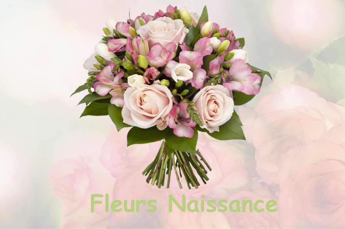 fleurs naissance SAINT-HILAIRE-LES-ANDRESIS