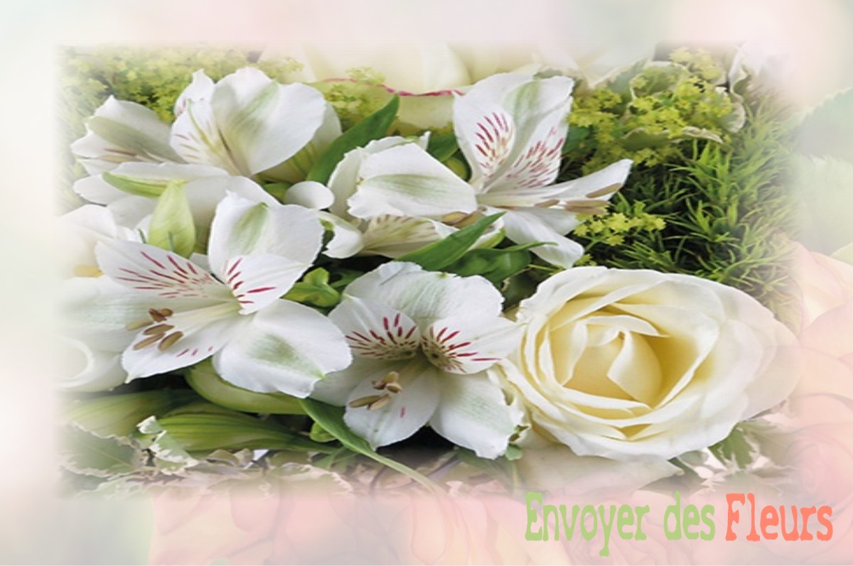 envoyer des fleurs à à SAINT-HILAIRE-LES-ANDRESIS