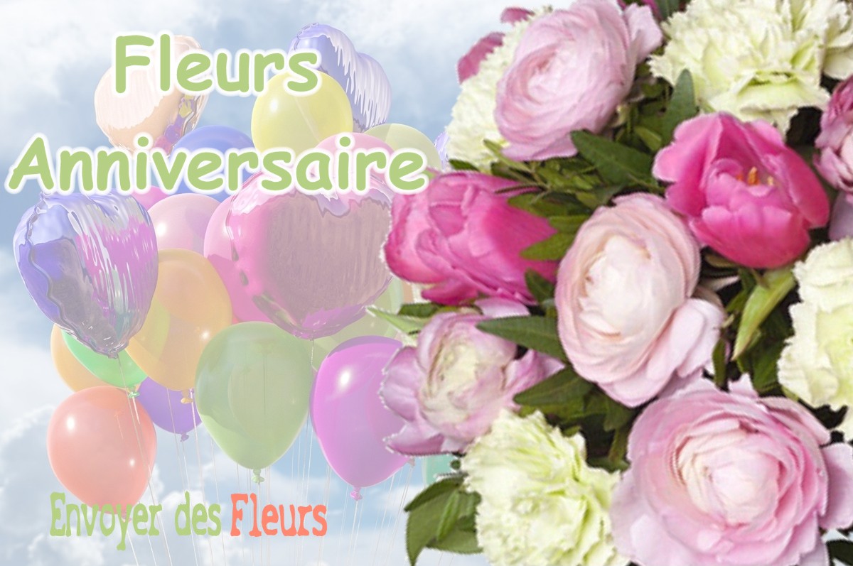 lIVRAISON FLEURS ANNIVERSAIRE à SAINT-HILAIRE-LES-ANDRESIS