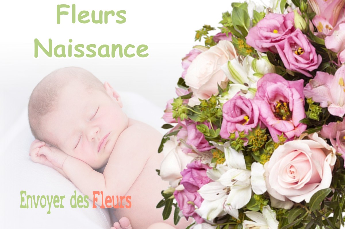 lIVRAISON FLEURS NAISSANCE à SAINT-HILAIRE-LES-ANDRESIS